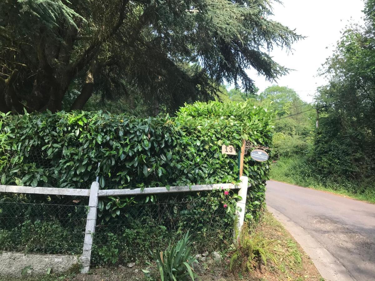 Les Chaumieres Du Pays D'Auge Acomodação com café da manhã Le Breuil-en-Auge Exterior foto